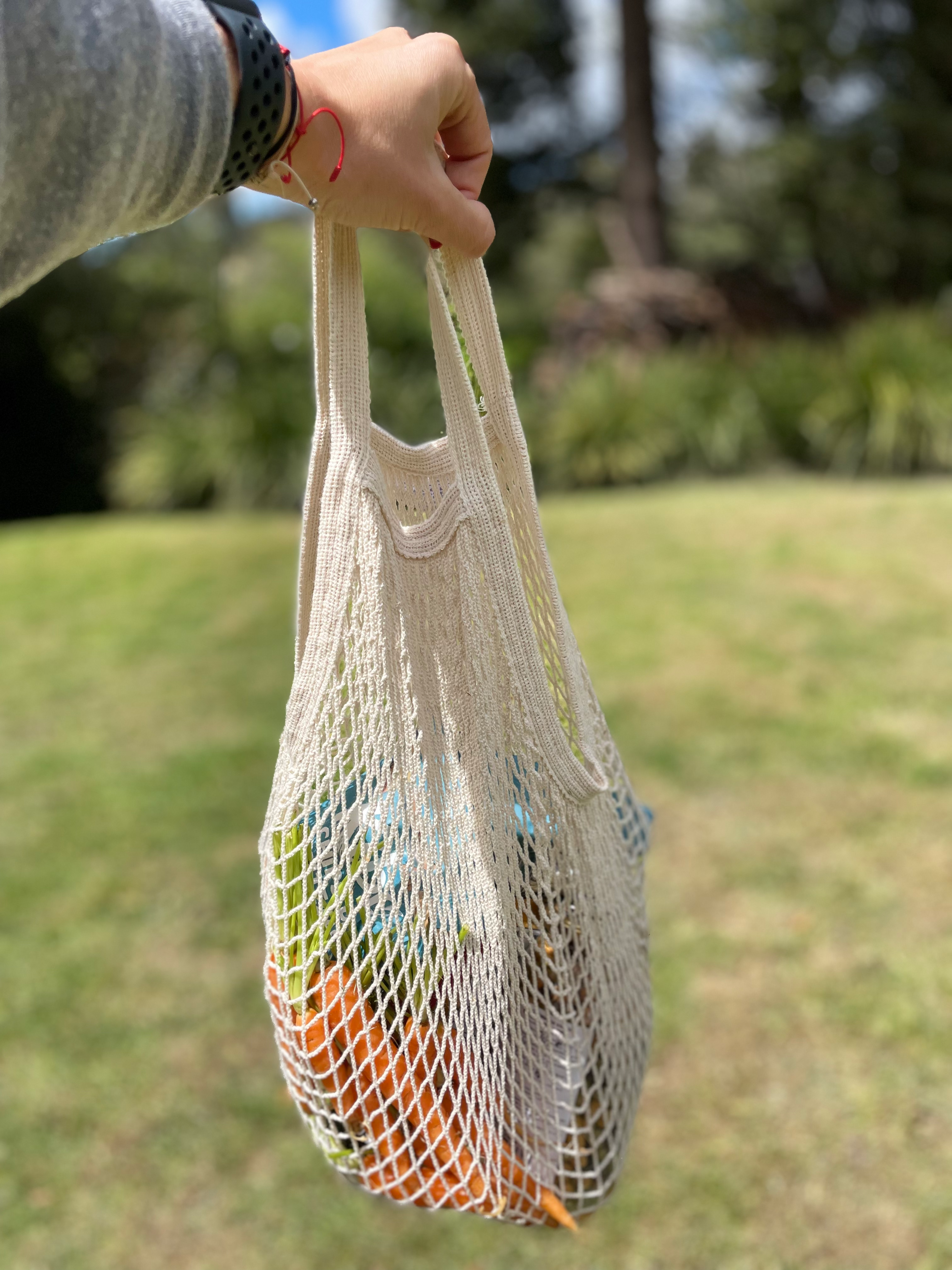 Vegetales a domicilio para tus paseos