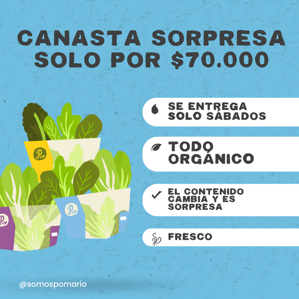 Canasta BOX Sorpresa